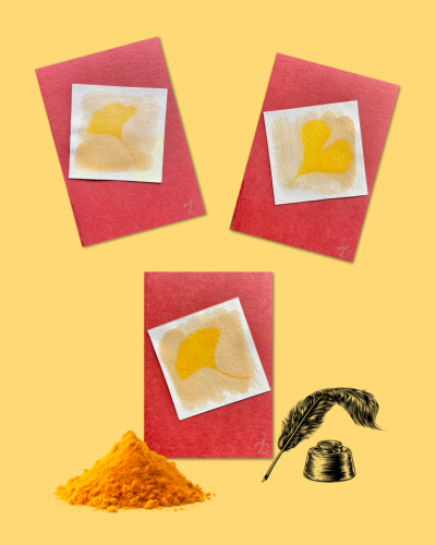 8F4BC1E7-E534-43B6-9336-FE82971471A7