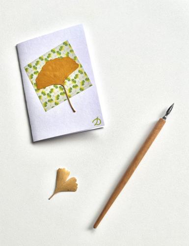 Feuilles de ginkgo