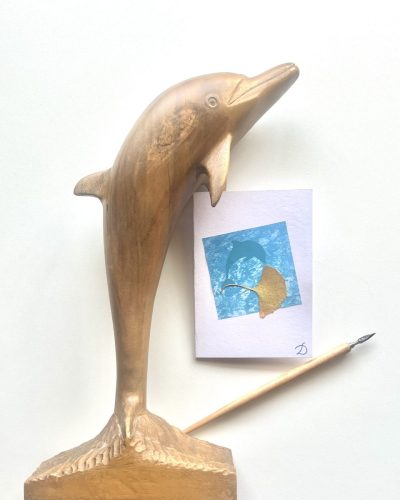 Journée mondiale des dauphins